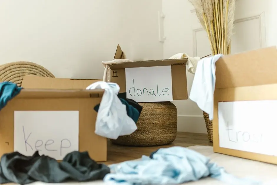 7 Simple Tips for Effective Home Cleanouts 5 image 121